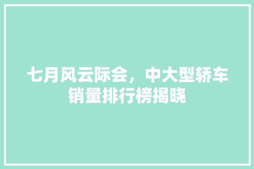七月风云际会，中大型轿车销量排行榜揭晓