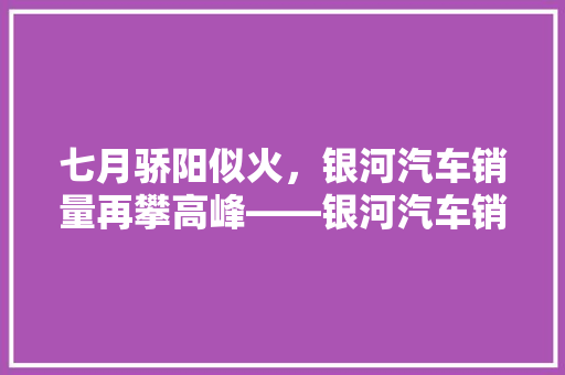 七月骄阳似火，银河汽车销量再攀高峰——银河汽车销量排行榜背后的故事