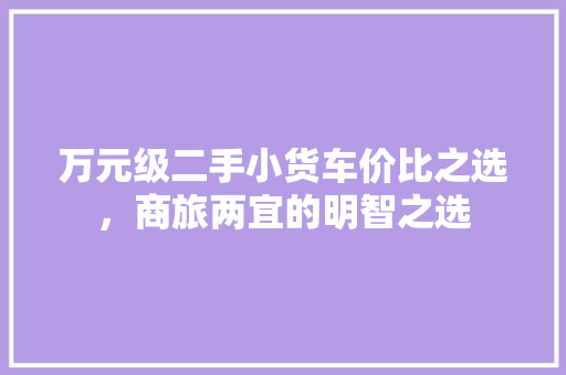 万元级二手小货车价比之选，商旅两宜的明智之选