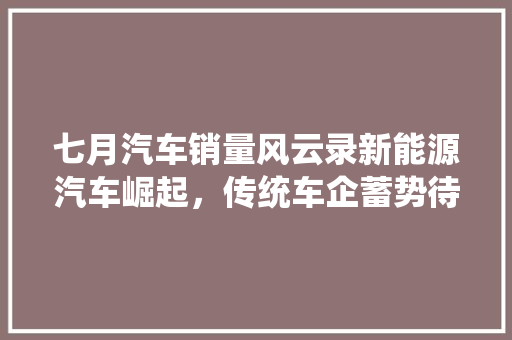 七月汽车销量风云录新能源汽车崛起，传统车企蓄势待发