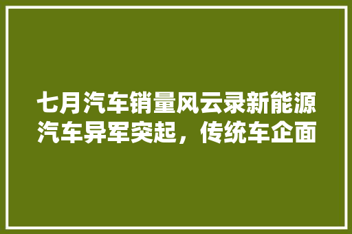 七月汽车销量风云录新能源汽车异军突起，传统车企面临挑战