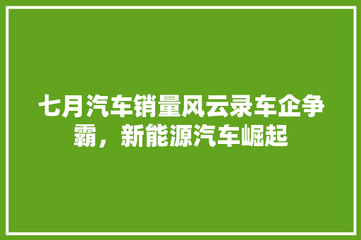 七月汽车销量风云录车企争霸，新能源汽车崛起
