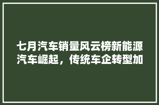 七月汽车销量风云榜新能源汽车崛起，传统车企转型加速