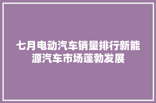 七月电动汽车销量排行新能源汽车市场蓬勃发展