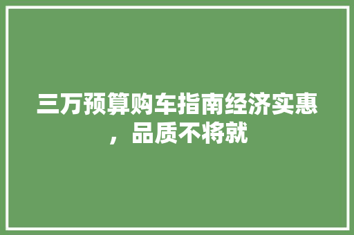 三万预算购车指南经济实惠，品质不将就