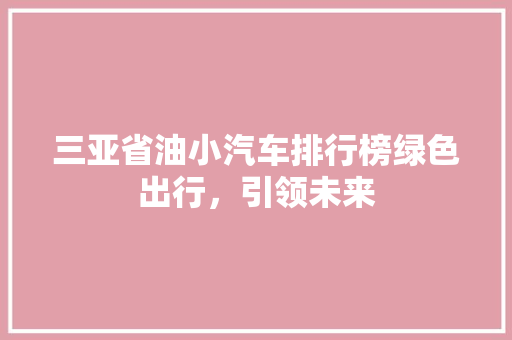 三亚省油小汽车排行榜绿色出行，引领未来