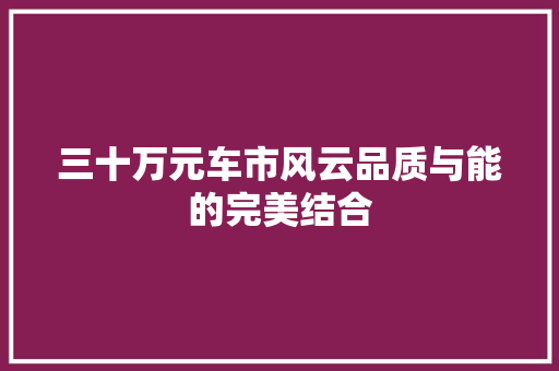 三十万元车市风云品质与能的完美结合