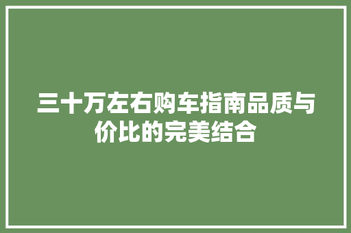三十万左右购车指南品质与价比的完美结合