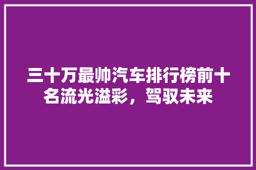 三十万最帅汽车排行榜前十名流光溢彩，驾驭未来