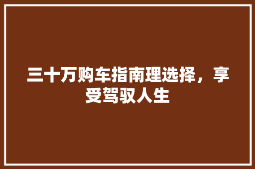 三十万购车指南理选择，享受驾驭人生