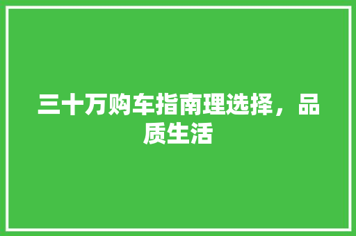 三十万购车指南理选择，品质生活