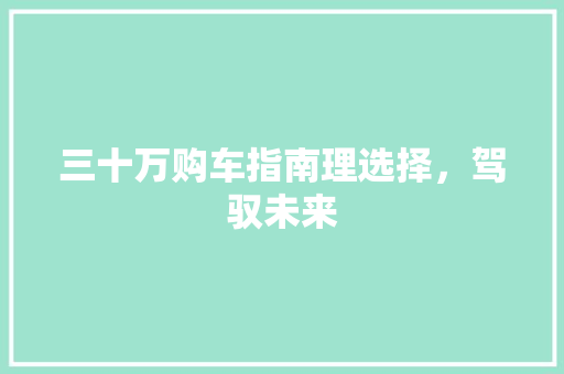 三十万购车指南理选择，驾驭未来