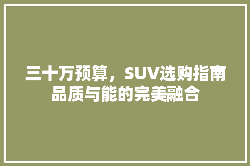 三十万预算，SUV选购指南品质与能的完美融合