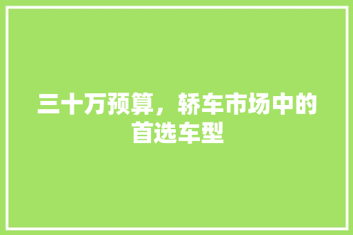 三十万预算，轿车市场中的首选车型