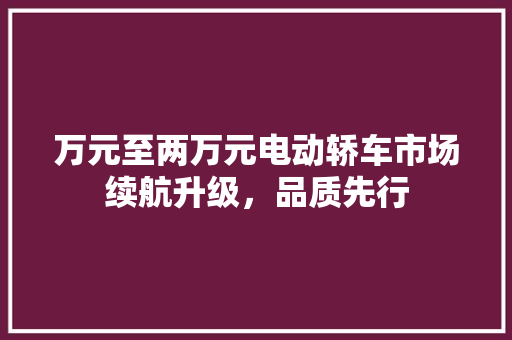 万元至两万元电动轿车市场续航升级，品质先行