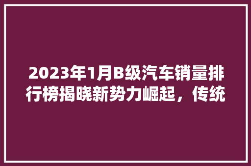 2023年1月B级汽车销量排行榜揭晓新势力崛起，传统车企稳扎稳打