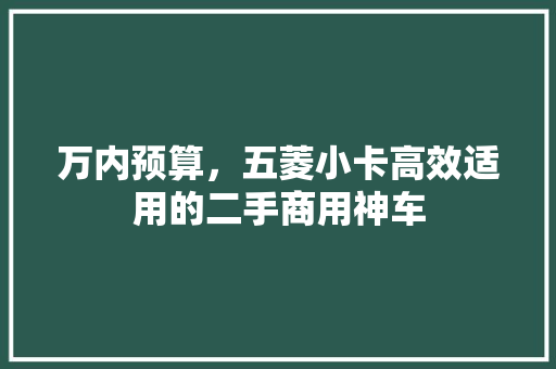 万内预算，五菱小卡高效适用的二手商用神车