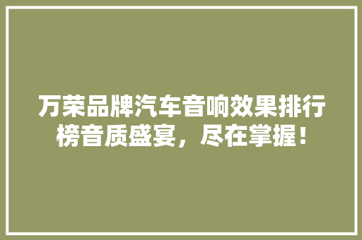 万荣品牌汽车音响效果排行榜音质盛宴，尽在掌握！