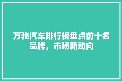 万驰汽车排行榜盘点前十名品牌，市场新动向