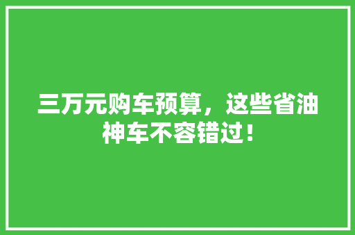 三万元购车预算，这些省油神车不容错过！