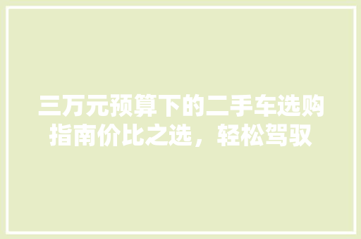 三万元预算下的二手车选购指南价比之选，轻松驾驭