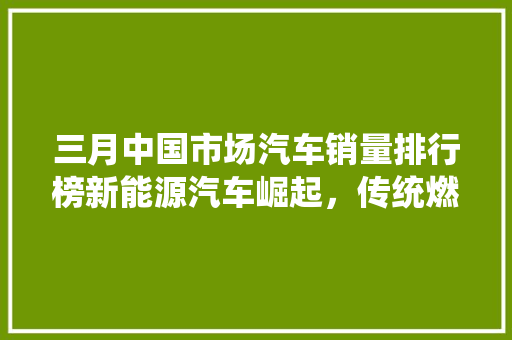 三月中国市场汽车销量排行榜新能源汽车崛起，传统燃油车压力倍增