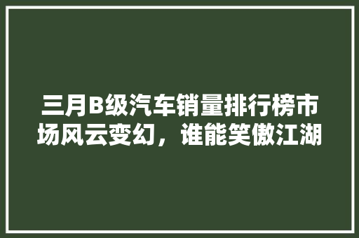 三月B级汽车销量排行榜市场风云变幻，谁能笑傲江湖