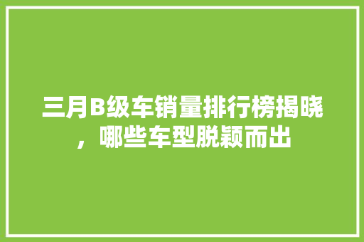 三月B级车销量排行榜揭晓，哪些车型脱颖而出