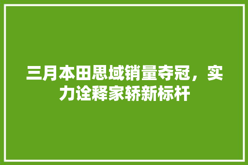 三月本田思域销量夺冠，实力诠释家轿新标杆