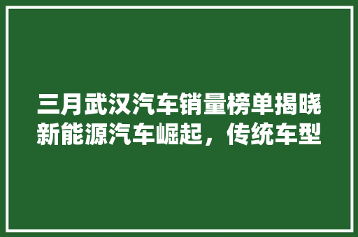 三月武汉汽车销量榜单揭晓新能源汽车崛起，传统车型稳居高位