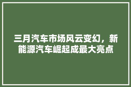 三月汽车市场风云变幻，新能源汽车崛起成最大亮点