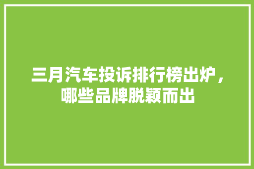三月汽车投诉排行榜出炉，哪些品牌脱颖而出