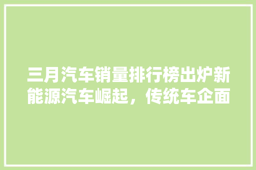 三月汽车销量排行榜出炉新能源汽车崛起，传统车企面临挑战