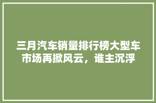 三月汽车销量排行榜大型车市场再掀风云，谁主沉浮