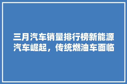 三月汽车销量排行榜新能源汽车崛起，传统燃油车面临挑战