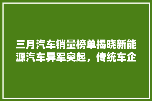 三月汽车销量榜单揭晓新能源汽车异军突起，传统车企面临挑战
