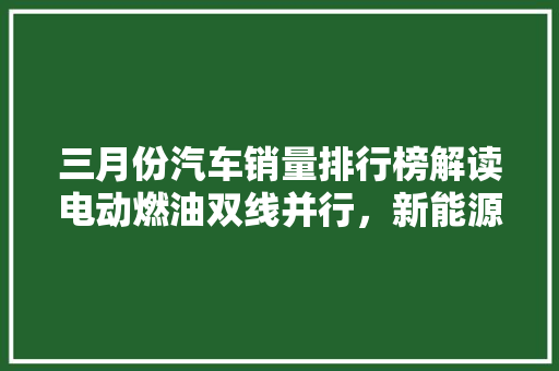三月份汽车销量排行榜解读电动燃油双线并行，新能源汽车崛起