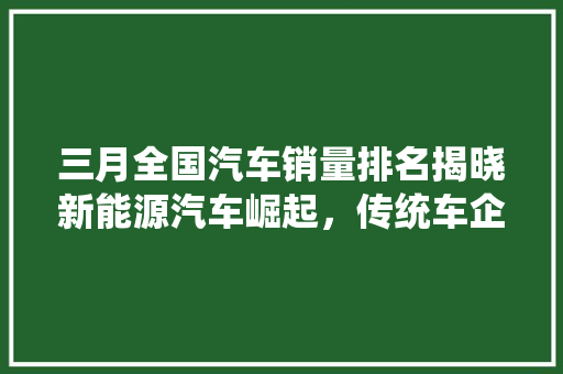 三月全国汽车销量排名揭晓新能源汽车崛起，传统车企面临挑战