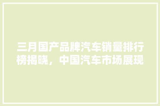 三月国产品牌汽车销量排行榜揭晓，中国汽车市场展现强劲活力