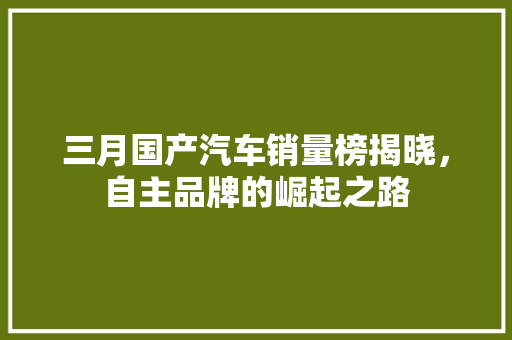 三月国产汽车销量榜揭晓，自主品牌的崛起之路