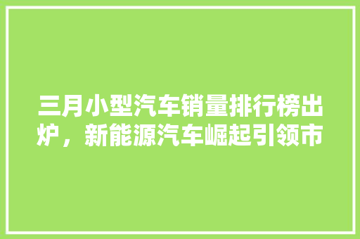 三月小型汽车销量排行榜出炉，新能源汽车崛起引领市场新潮流