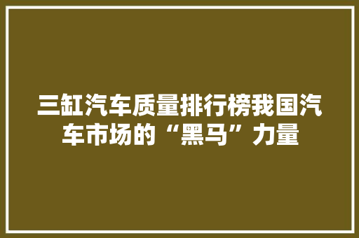 三缸汽车质量排行榜我国汽车市场的“黑马”力量