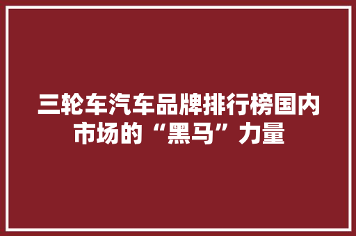 三轮车汽车品牌排行榜国内市场的“黑马”力量