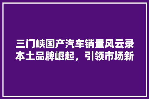 三门峡国产汽车销量风云录本土品牌崛起，引领市场新风向