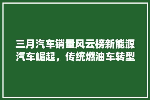 三月汽车销量风云榜新能源汽车崛起，传统燃油车转型加速