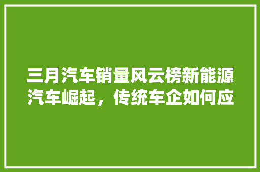 三月汽车销量风云榜新能源汽车崛起，传统车企如何应对