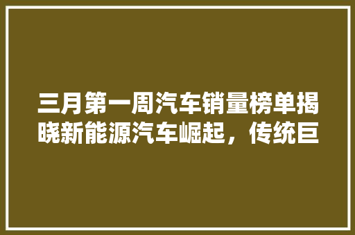三月第一周汽车销量榜单揭晓新能源汽车崛起，传统巨头稳坐江山