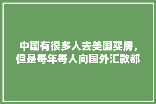 10万预算购车指南价比之选，品质生活新伙伴