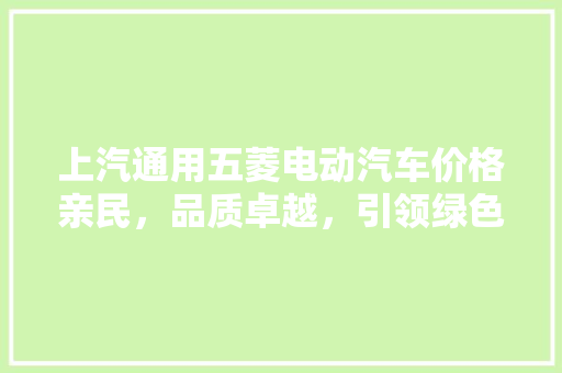 上汽通用五菱电动汽车价格亲民，品质卓越，引领绿色出行新潮流