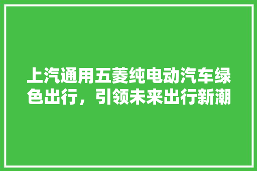 上汽通用五菱纯电动汽车绿色出行，引领未来出行新潮流